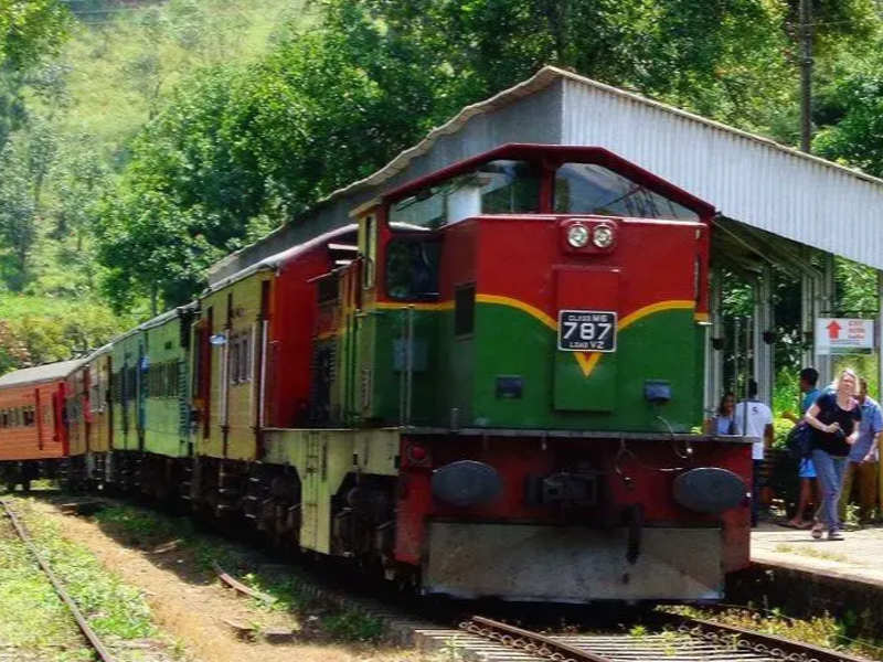 Surrounding Greenery